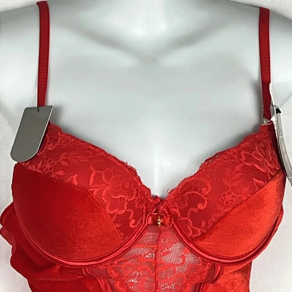 Daisy Fuentes Velvet Molded Cup Lace Push Up Teddy Bodysuit Snap Crotch NWT Sz L - Picture 5 of 16